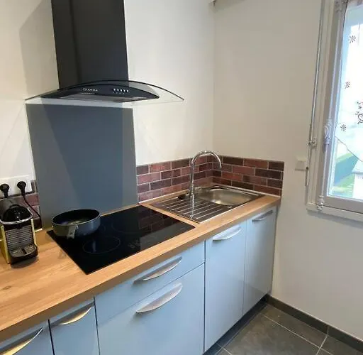 Lumineux De 35m2 Au Coeur De Daire Solesmes (Sarthe)